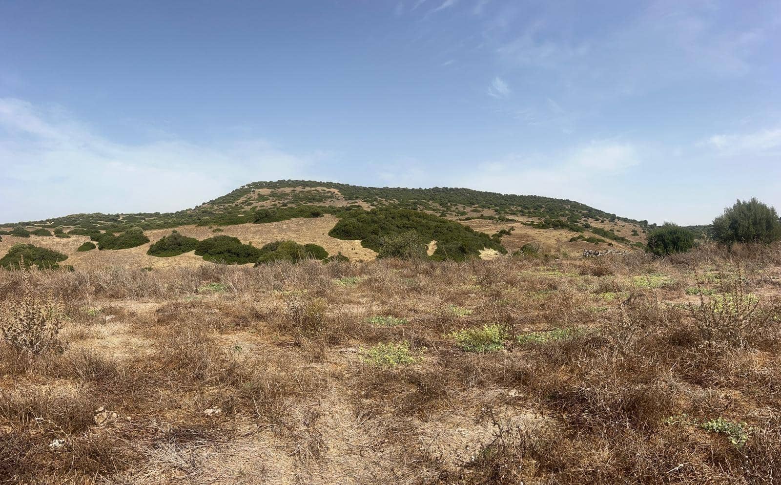 Byggegrund til salg i Vejer de la Frontera - € 87.500 (Ref: 9248158)