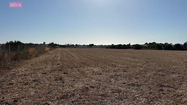 Bouwgrond te koop in El Palmar, Vejer de la Frontera - € 450.000 (Ref: 9257218)