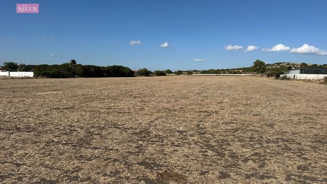 Bouwgrond te koop in El Palmar, Vejer de la Frontera - € 450.000 (Ref: 9257218)