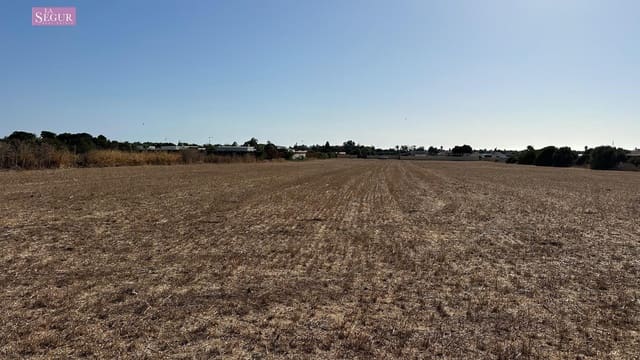 Bouwgrond te koop in El Palmar, Vejer de la Frontera - € 450.000 (Ref: 9257218)