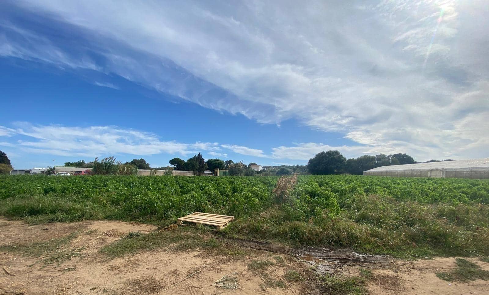 Rakentamaton maa myytävänä paikassa Barbate - 300 000 € (Ref: 9262509)