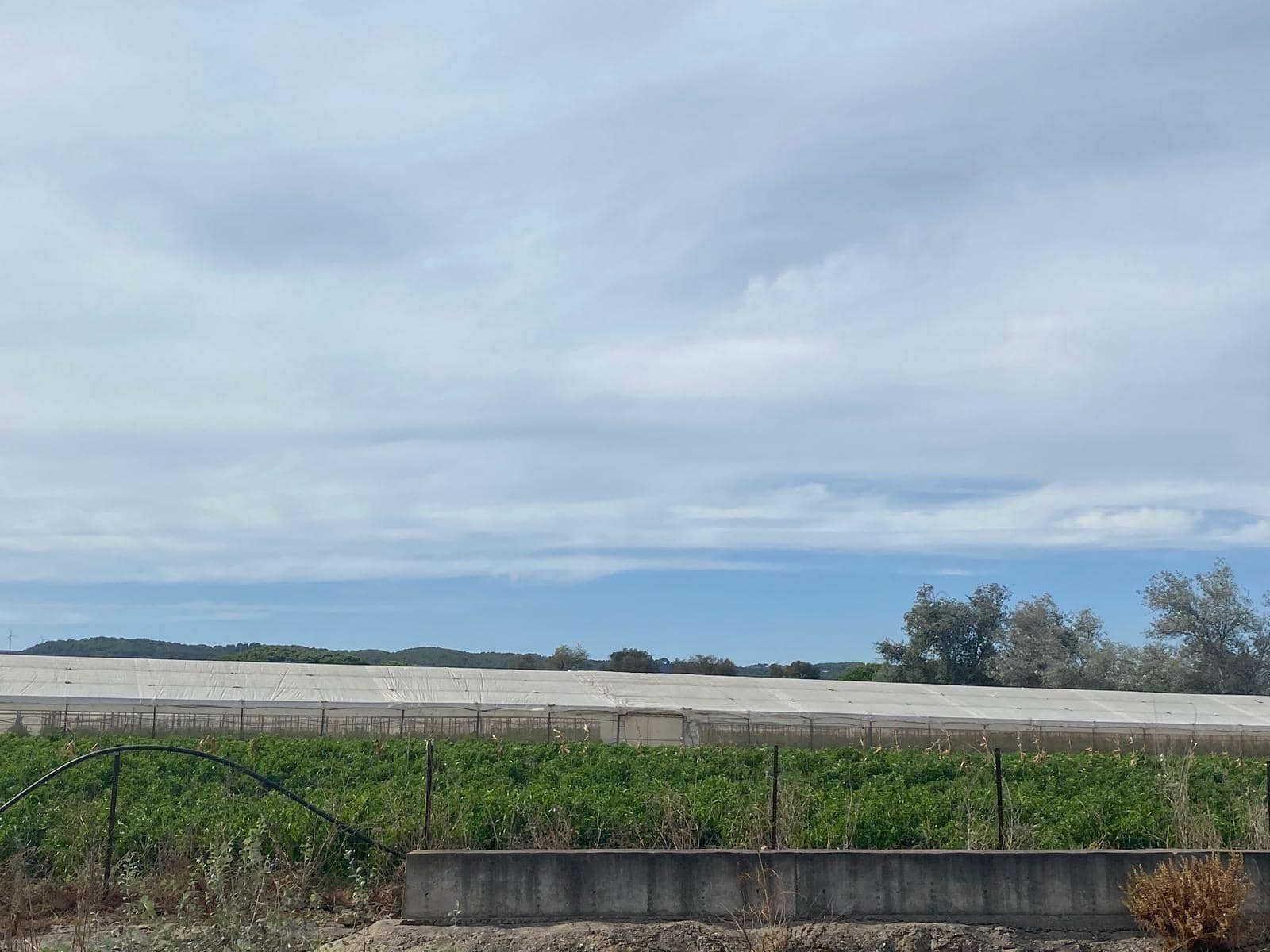 Rakentamaton maa myytävänä paikassa Barbate - 300 000 € (Ref: 9262509)