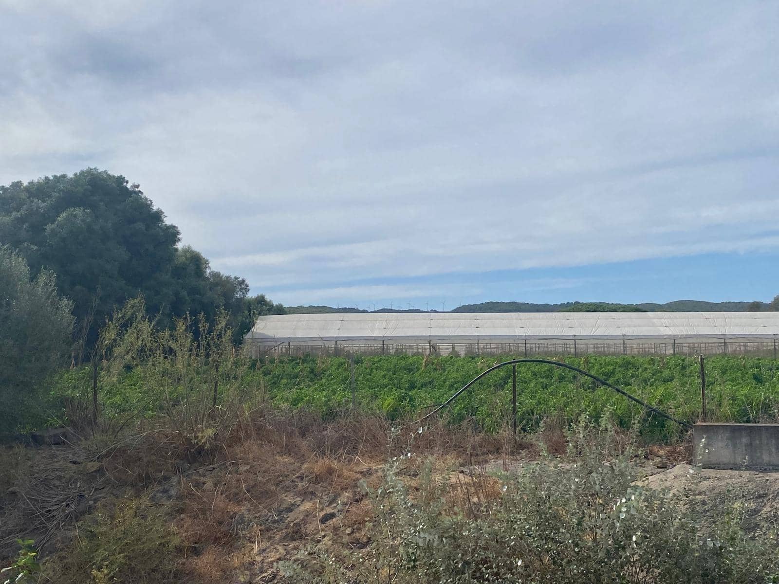 Rakentamaton maa myytävänä paikassa Barbate - 300 000 € (Ref: 9262509)