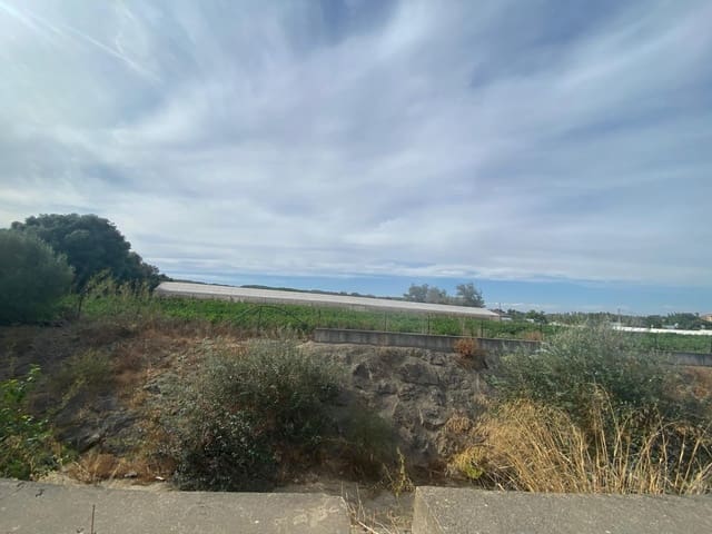 Grunde uden byggetilladelser til salg i Barbate - € 300.000 (Ref: 9262509)