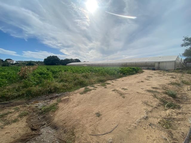 Grunde uden byggetilladelser til salg i Barbate - € 300.000 (Ref: 9262509)