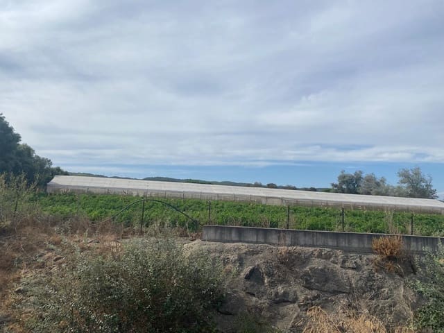 Grunde uden byggetilladelser til salg i Barbate - € 300.000 (Ref: 9262509)