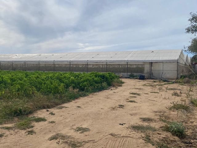 Grunde uden byggetilladelser til salg i Barbate - € 300.000 (Ref: 9262509)