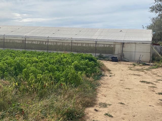 Grunde uden byggetilladelser til salg i Barbate - € 300.000 (Ref: 9262509)