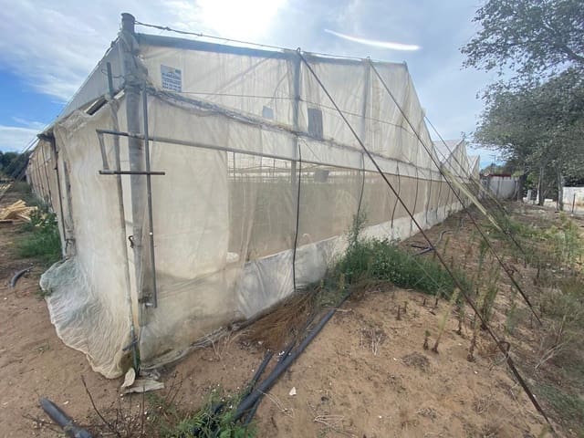 Grunde uden byggetilladelser til salg i Barbate - € 300.000 (Ref: 9262509)