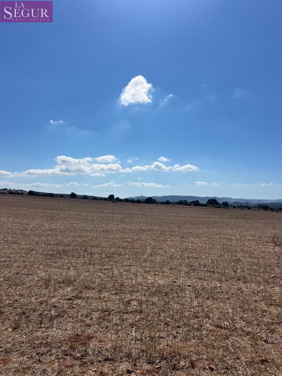 Ubebygd land til salgs i Vejer de la Frontera - € 115 000 (Ref: 9291498)