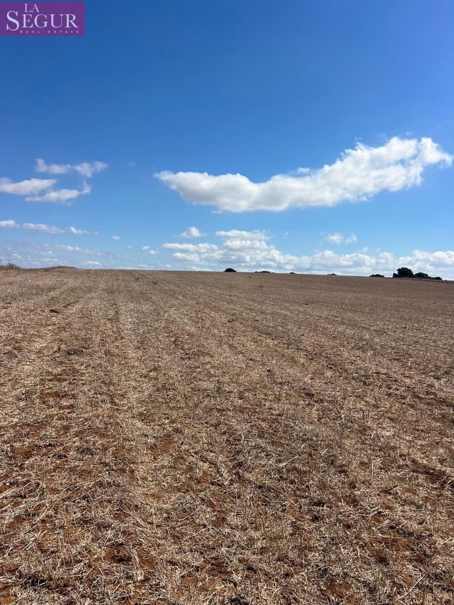 Ubebygd land til salgs i Vejer de la Frontera - € 115 000 (Ref: 9291498)