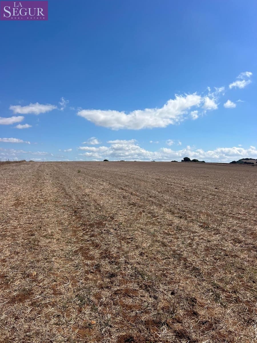 Ubebygd land til salgs i Vejer de la Frontera - € 115 000 (Ref: 9291498)