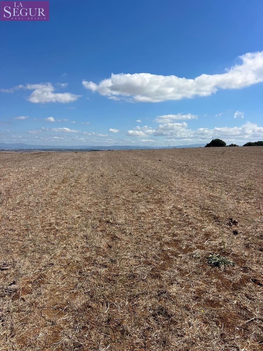 Ubebygd land til salgs i Vejer de la Frontera - € 115 000 (Ref: 9291498)