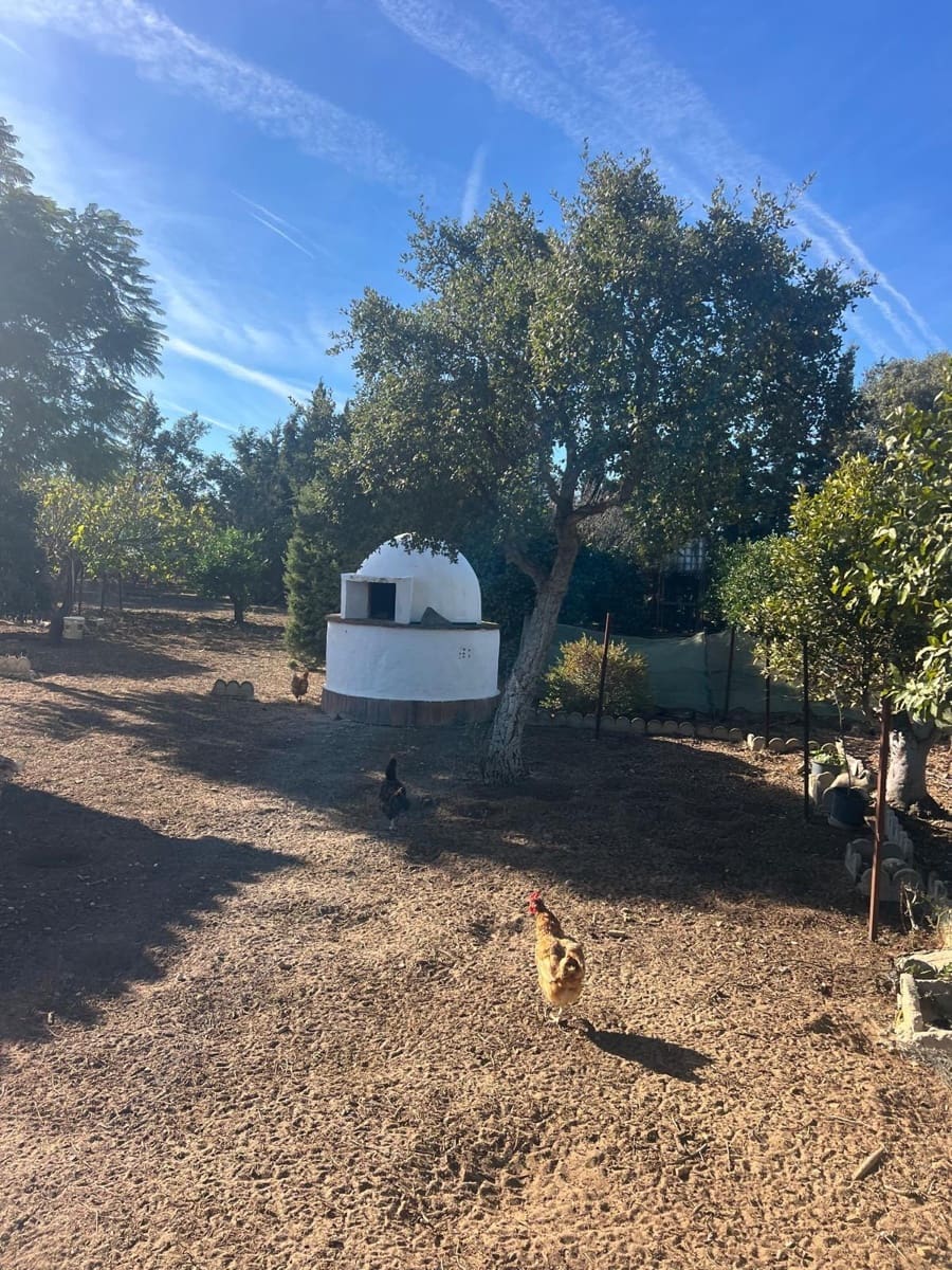 3 bedroom Finca/Country House for sale in Medina-Sidonia with garage - € 270,000 (Ref: 9390674)