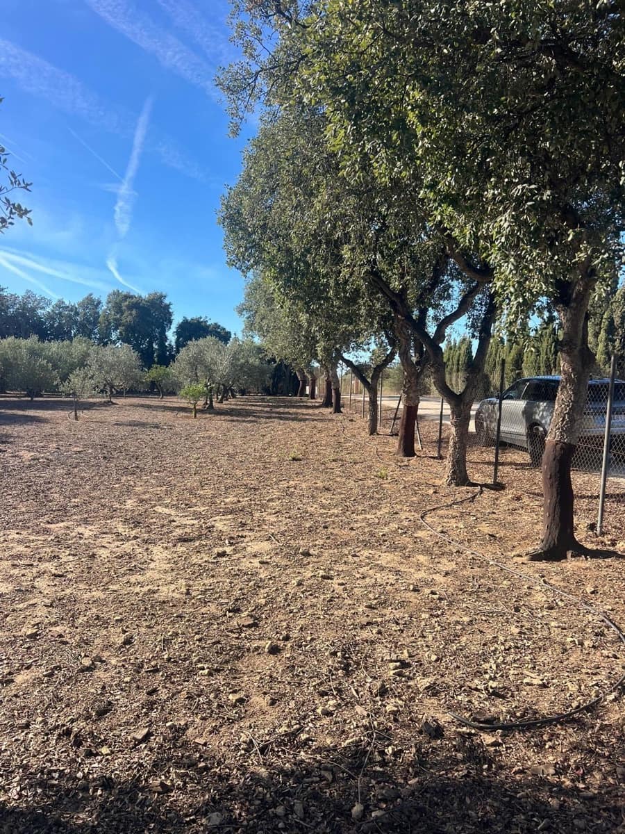 3 bedroom Finca/Country House for sale in Medina-Sidonia with garage - € 270,000 (Ref: 9390674)