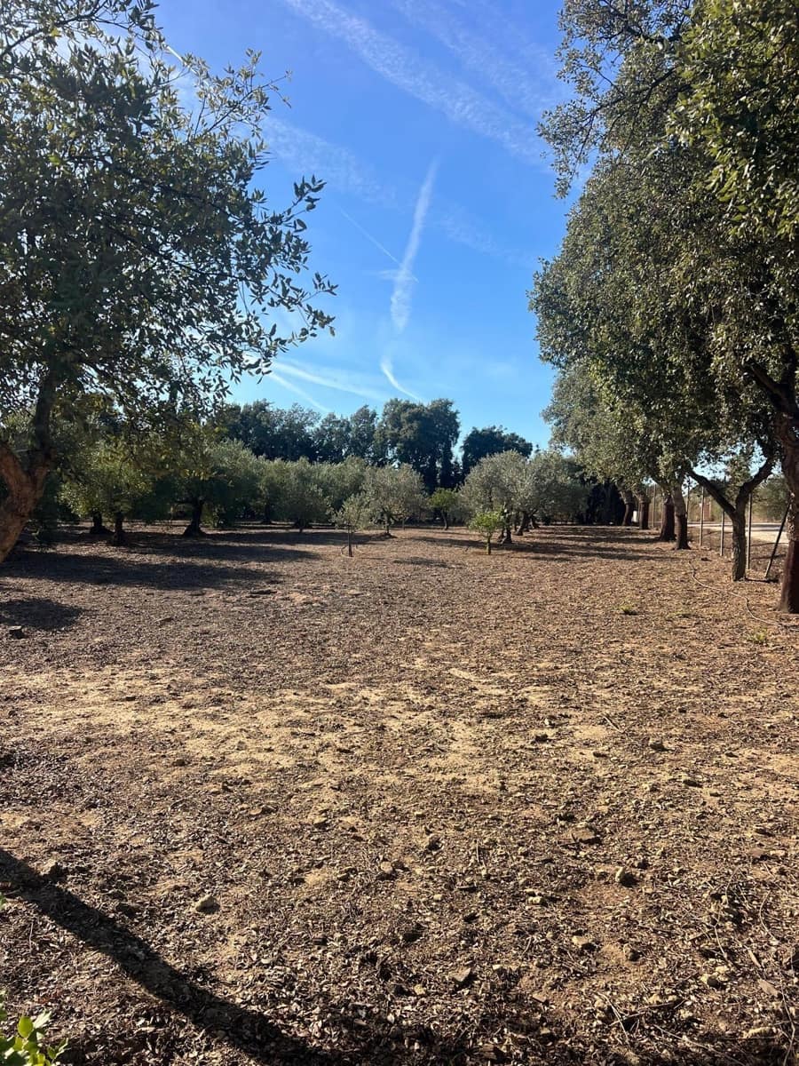 3 bedroom Finca/Country House for sale in Medina-Sidonia with garage - € 270,000 (Ref: 9390674)