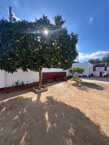 2 chambre Finca/Maison de Campagne à vendre à Vejer de la Frontera - 350 000 € (Ref: 9395935)