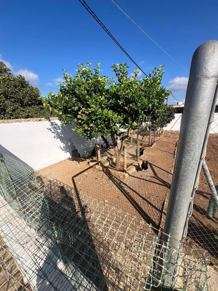 2 sypialnia Finka/Dom wiejski na sprzedaż w Vejer de la Frontera - 350 000 € (Ref: 9395935)