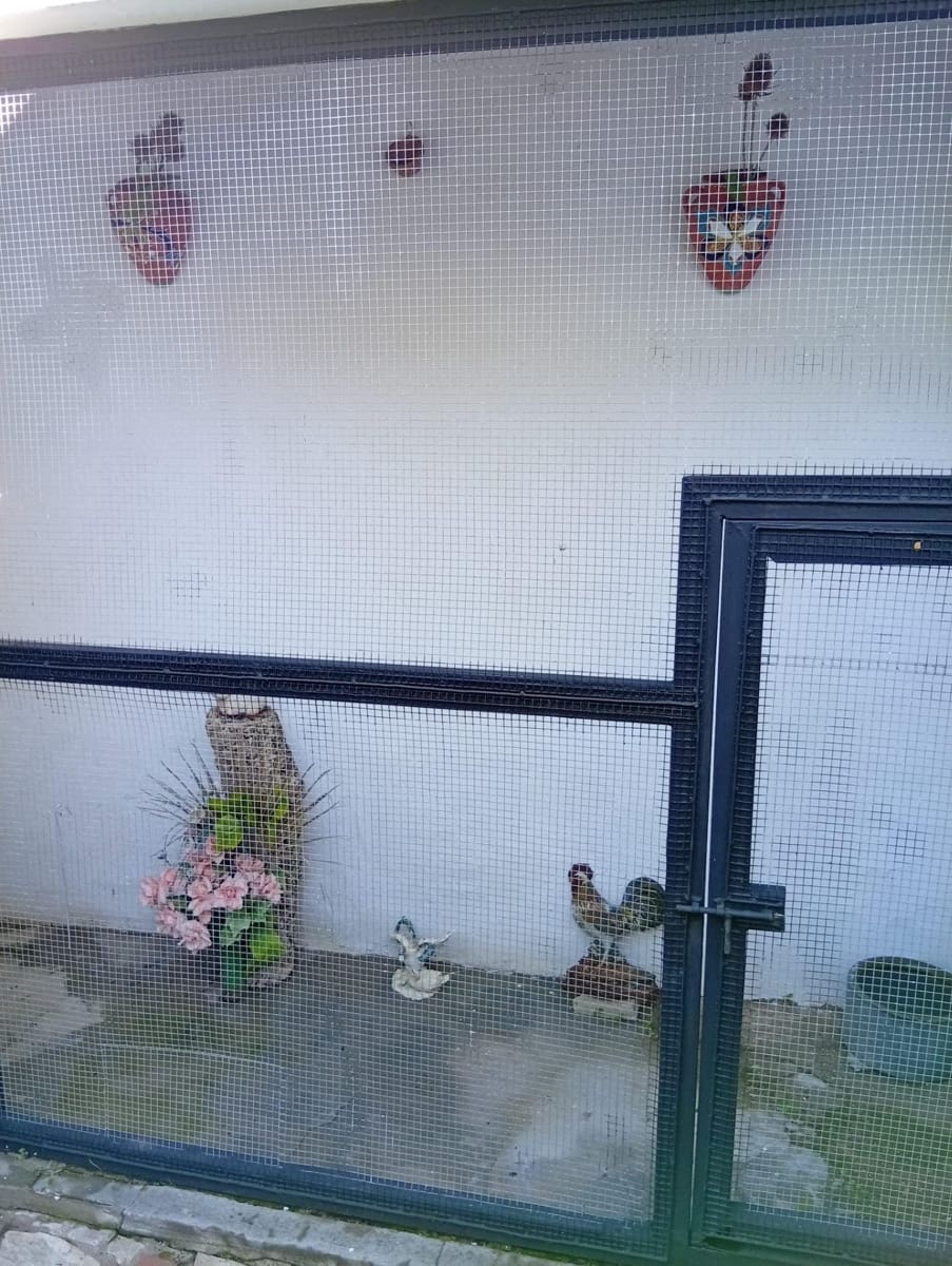 3 Zimmer Finca/Landgut zu verkaufen in Medina-Sidonia mit Garage - 230.000 € (Ref: 9468622)