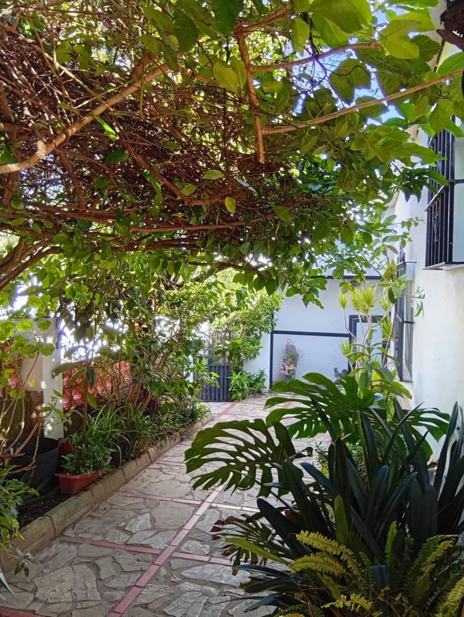 3 Zimmer Finca/Landgut zu verkaufen in Medina-Sidonia mit Garage - 230.000 € (Ref: 9468622)