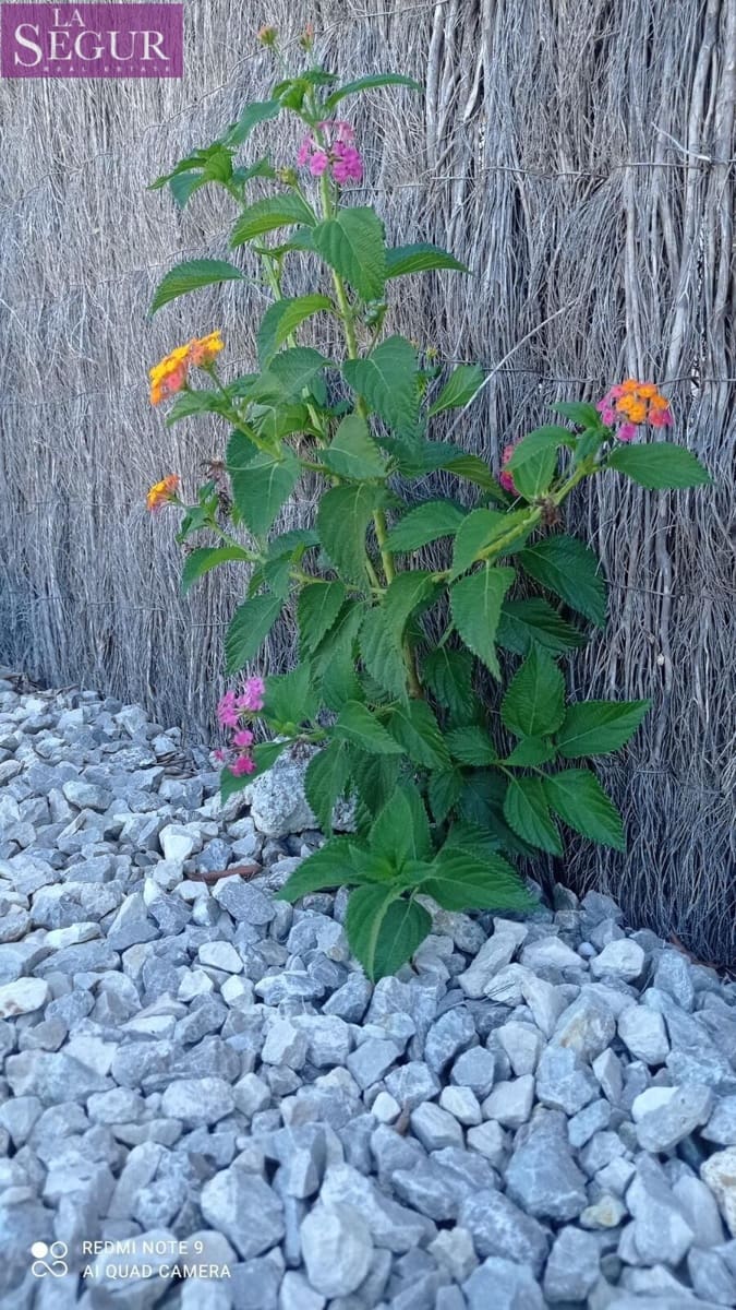 6 sovrum Trähus till salu i El Palmar med garage - 362 000 € (Ref: 9508815)