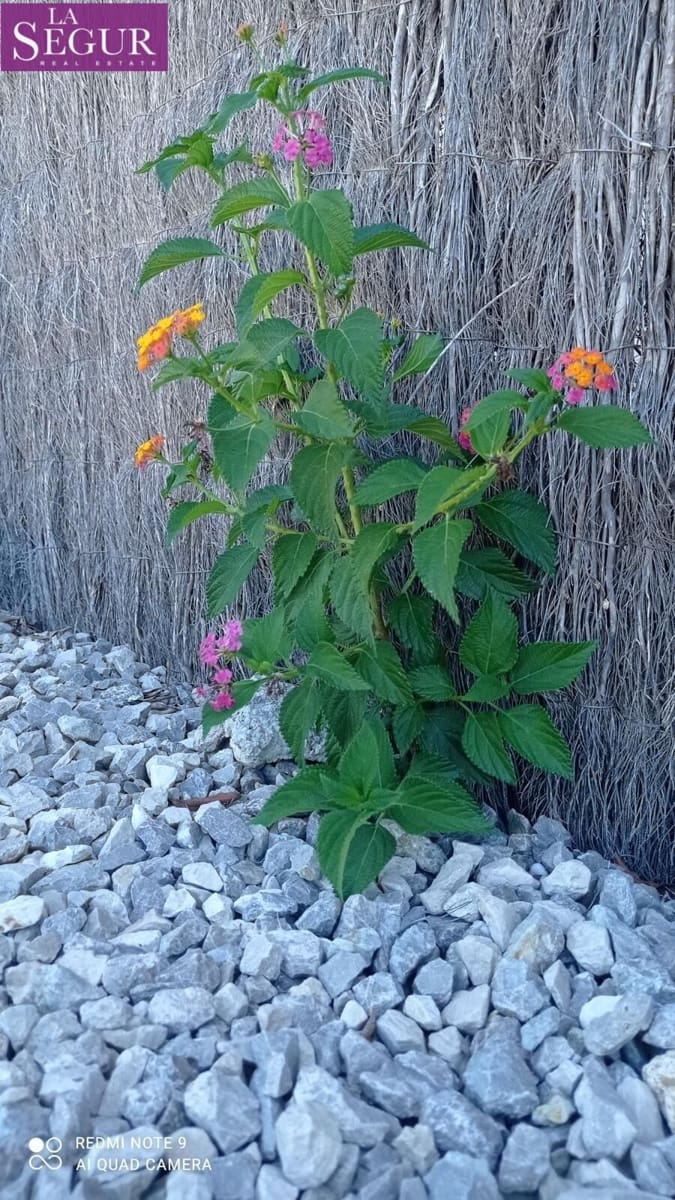 6 quarto Casa de Madeira para venda em El Palmar com garagem - 362 000 € (Ref: 9508815)