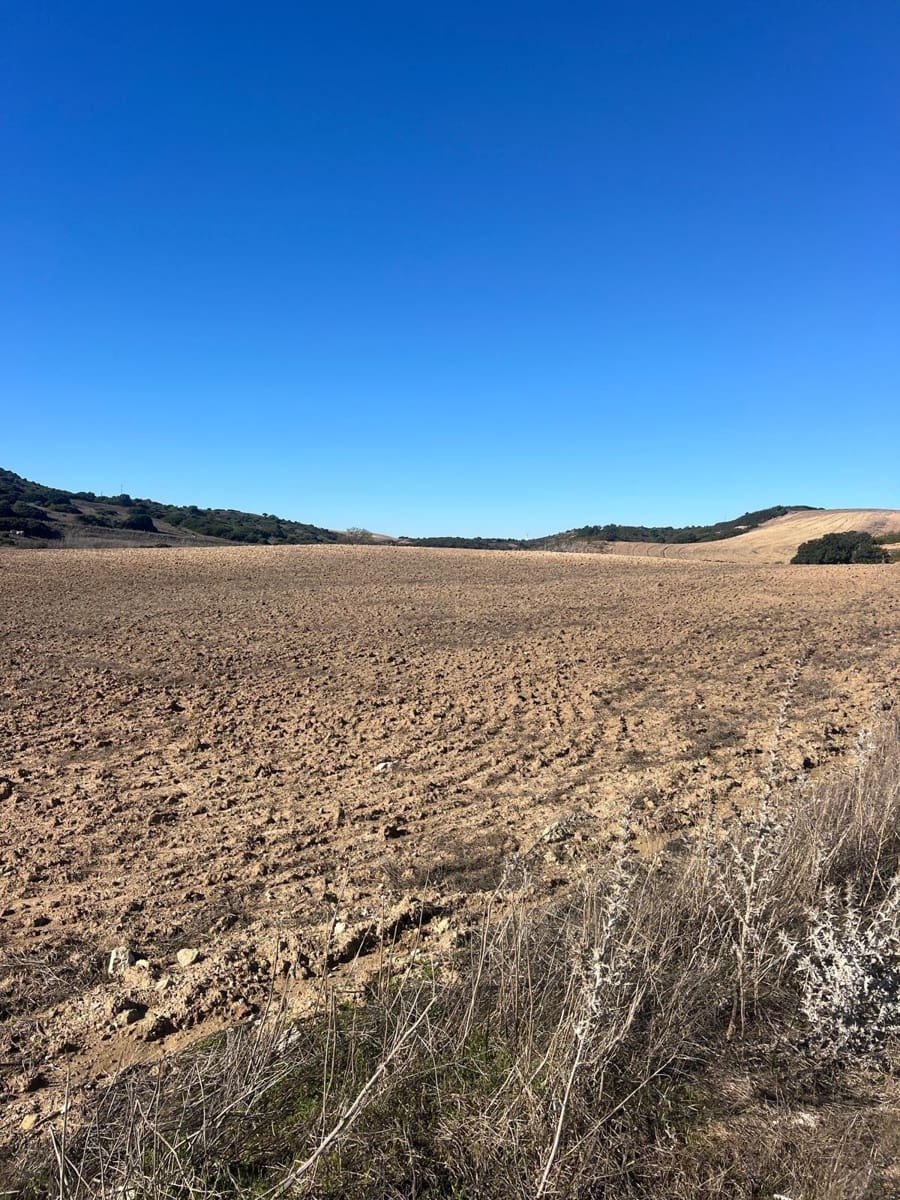 Grunde uden byggetilladelser til salg i Medina-Sidonia - € 128.000 (Ref: 9516020)