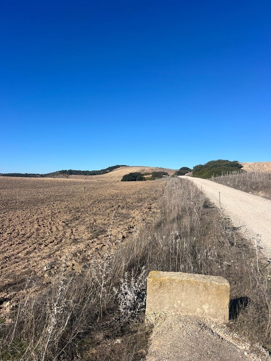 Grunde uden byggetilladelser til salg i Medina-Sidonia - € 128.000 (Ref: 9516020)