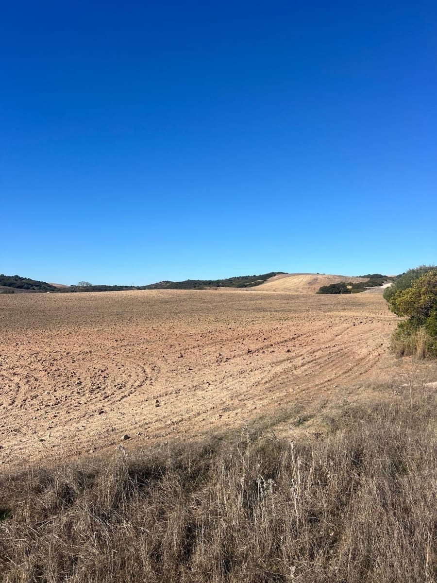 Grunde uden byggetilladelser til salg i Medina-Sidonia - € 128.000 (Ref: 9516020)