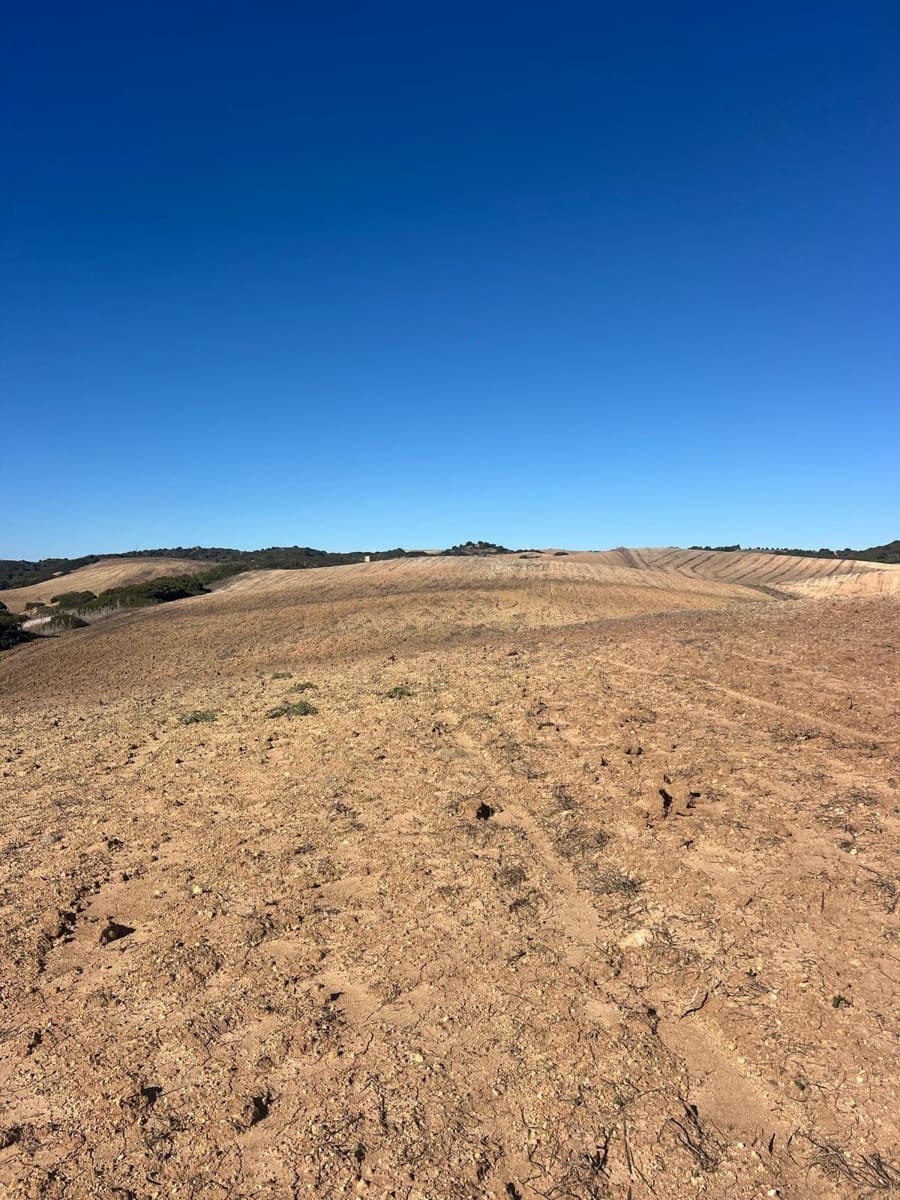 Grunde uden byggetilladelser til salg i Medina-Sidonia - € 128.000 (Ref: 9516020)