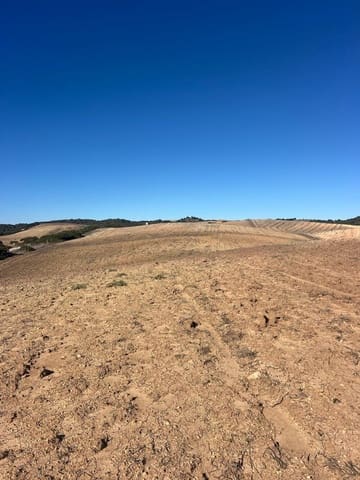 Grunde uden byggetilladelser til salg i Medina-Sidonia - € 128.000 (Ref: 9516020)