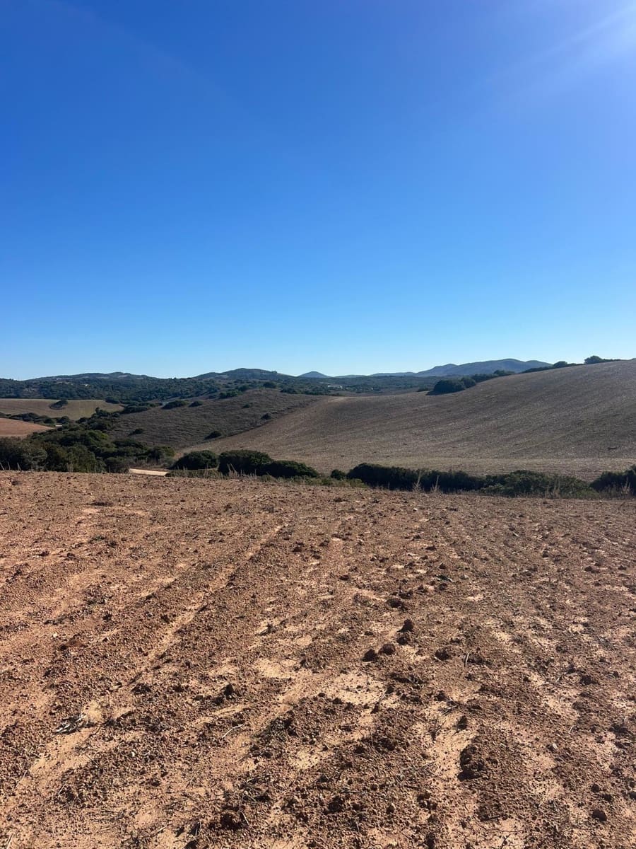 Grunde uden byggetilladelser til salg i Medina-Sidonia - € 128.000 (Ref: 9516020)