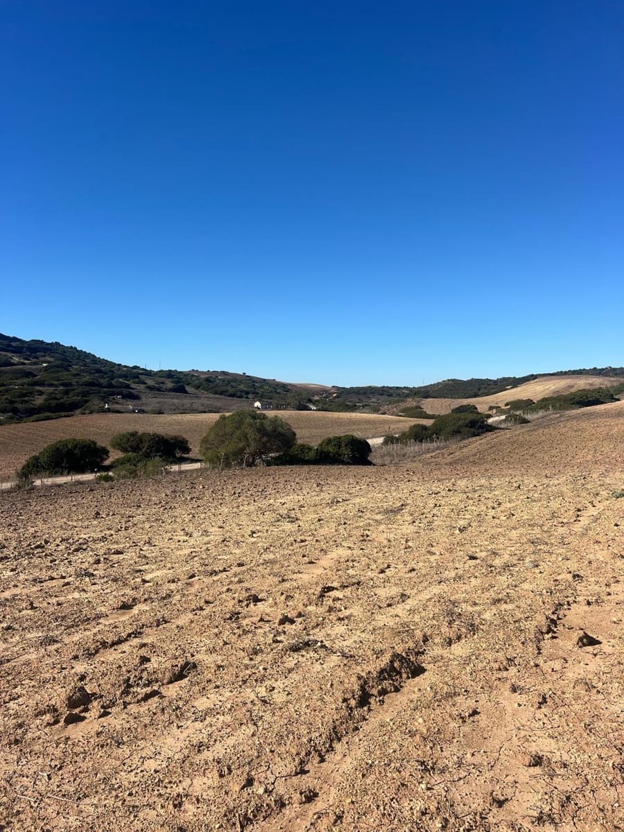 Grunde uden byggetilladelser til salg i Medina-Sidonia - € 128.000 (Ref: 9516020)