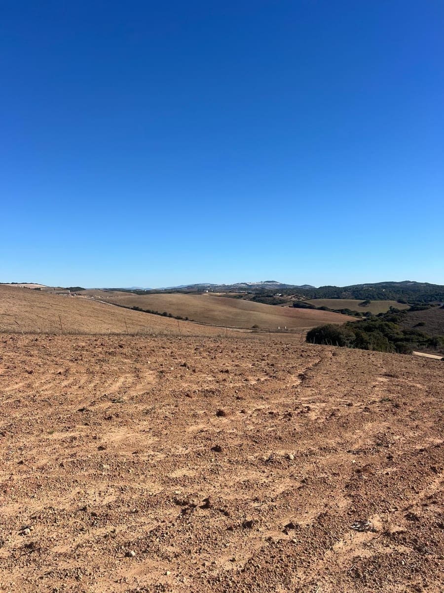Grunde uden byggetilladelser til salg i Medina-Sidonia - € 128.000 (Ref: 9516020)
