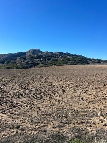 Grunde uden byggetilladelser til salg i Medina-Sidonia - € 128.000 (Ref: 9516020)