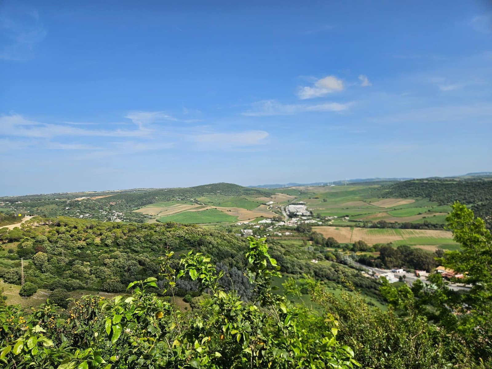 1 sypialnia Studio na sprzedaż w Vejer de la Frontera - 155 000 € (Ref: 9576675)