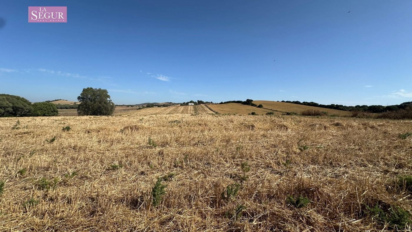 Mark till salu i Vejer de la Frontera - 129 000 € (Ref: 9625485)