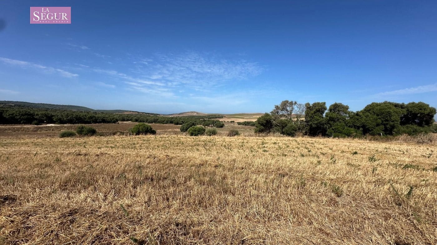 Mark till salu i Vejer de la Frontera - 129 000 € (Ref: 9625485)