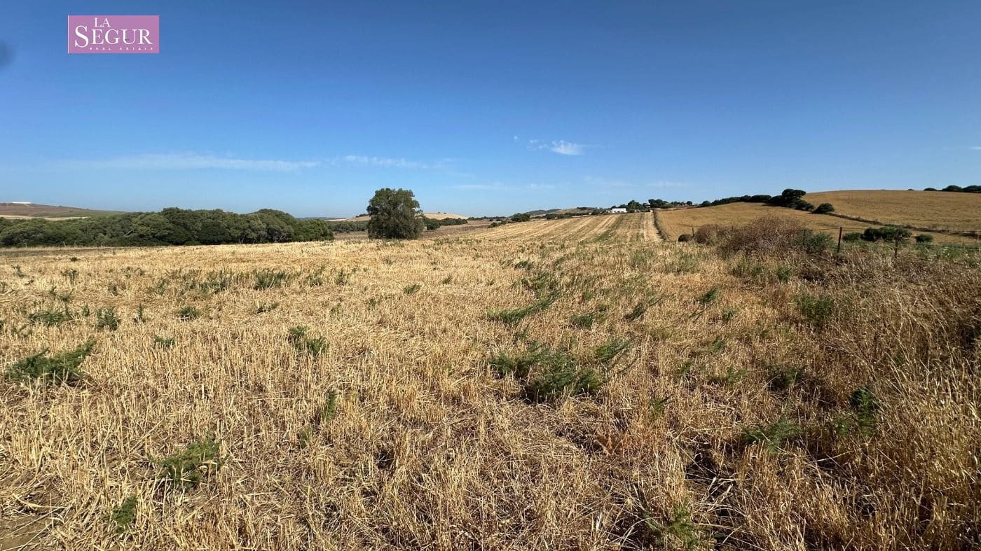 Mark till salu i Vejer de la Frontera - 129 000 € (Ref: 9625485)