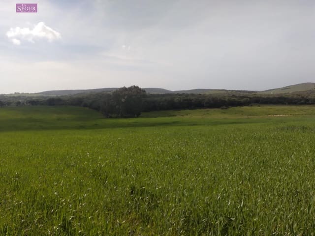 Mark till salu i Vejer de la Frontera - 129 000 € (Ref: 9625485)