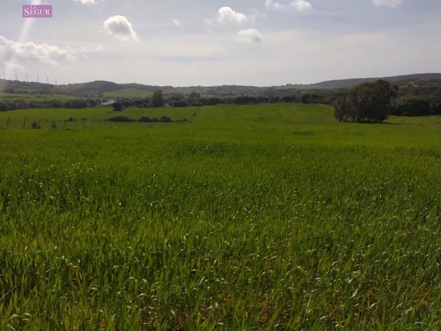 Mark till salu i Vejer de la Frontera - 129 000 € (Ref: 9625485)