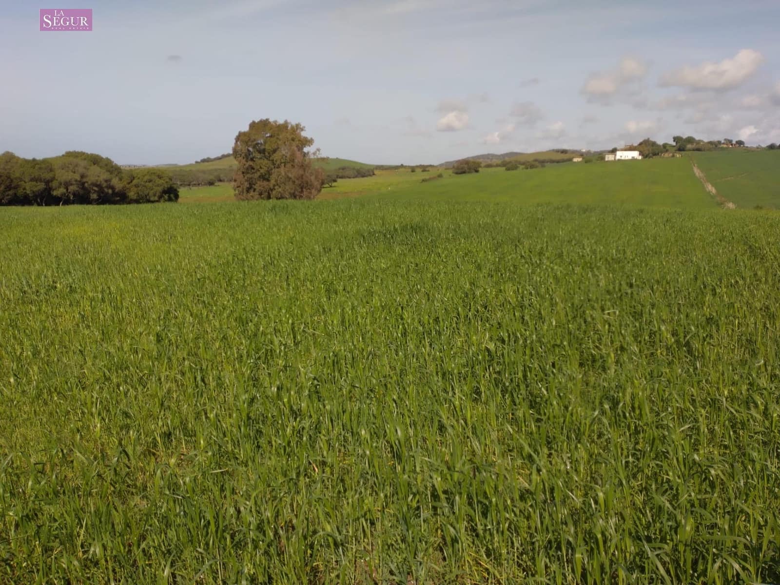 Mark till salu i Vejer de la Frontera - 129 000 € (Ref: 9625485)