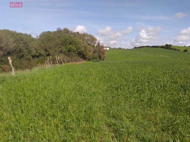 Mark till salu i Vejer de la Frontera - 129 000 € (Ref: 9625485)