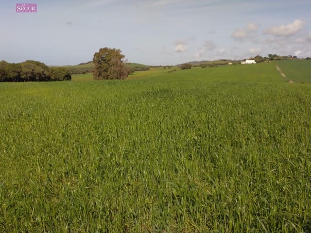 Mark till salu i Vejer de la Frontera - 129 000 € (Ref: 9625485)