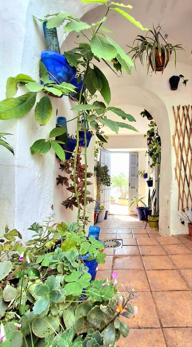 1 soverom Leilighet til salgs i Vejer de la Frontera - € 139 500 (Ref: 9659358)