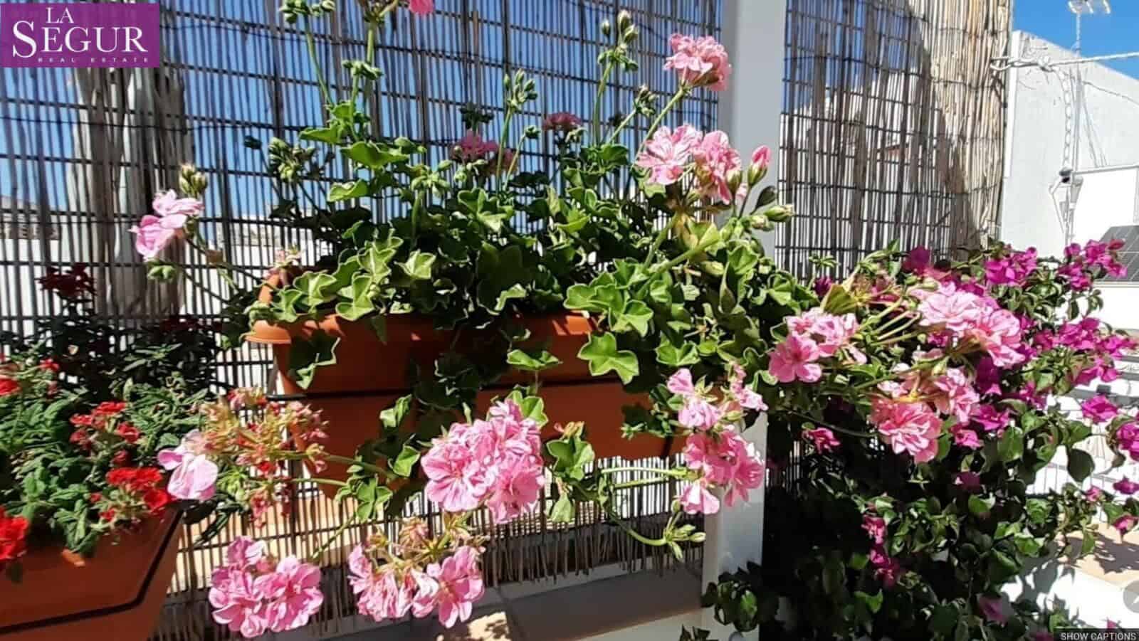 1 quarto Apartamento para venda em Cadis cidade - 290 000 € (Ref: 9677416)