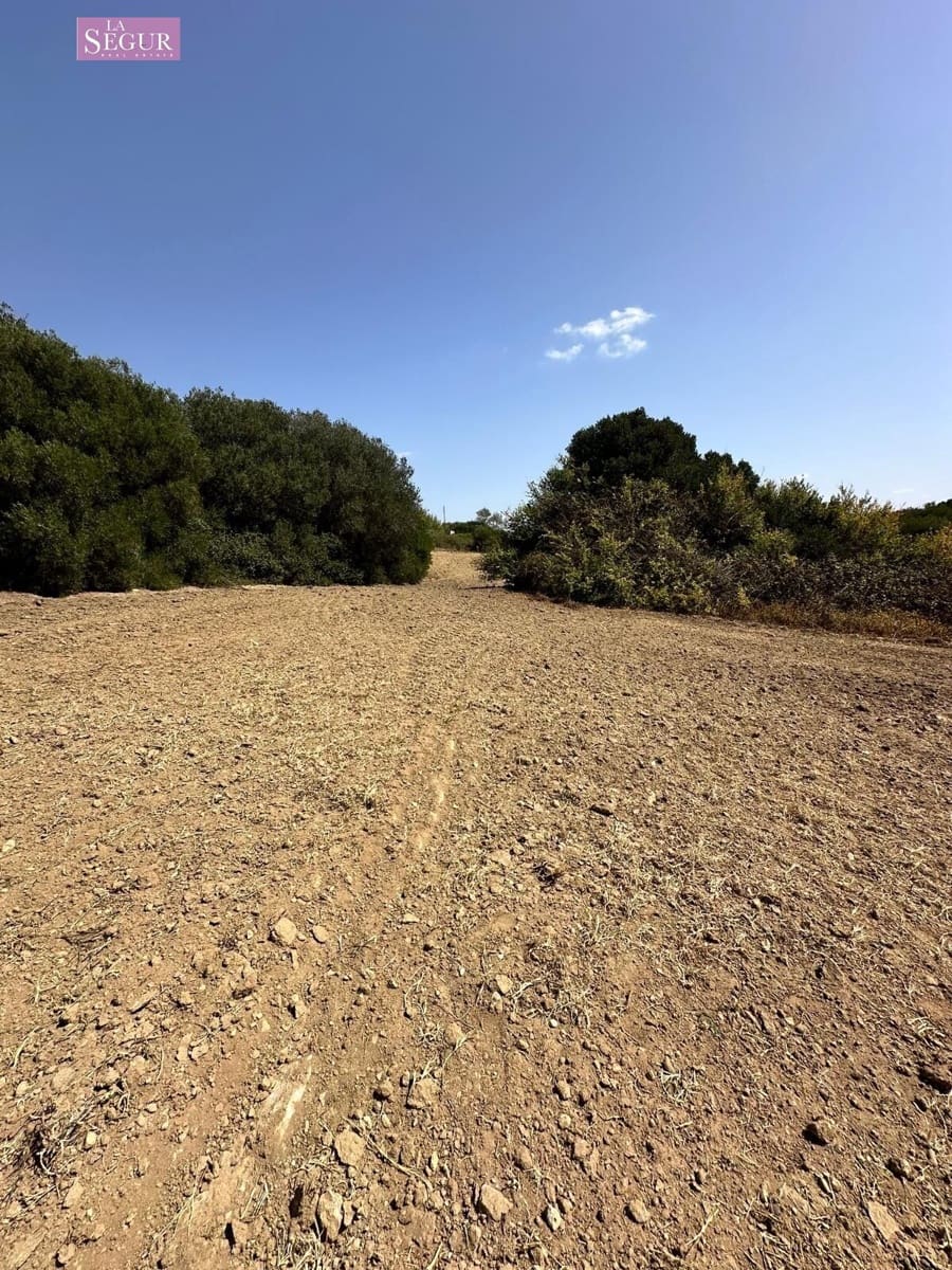Undeveloped Land for sale in Conil de la Frontera - € 150,000 (Ref: 9686354)