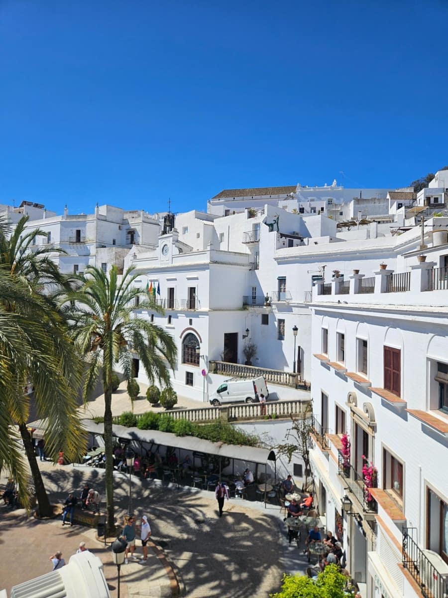 7 bedroom Townhouse for sale in Vejer de la Frontera - € 1,100,000 (Ref: 9797035)