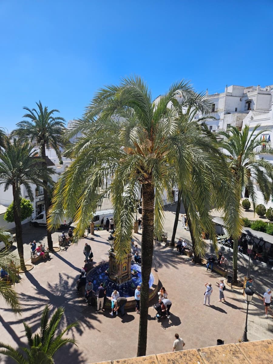 7 bedroom Townhouse for sale in Vejer de la Frontera - € 1,100,000 (Ref: 9797035)