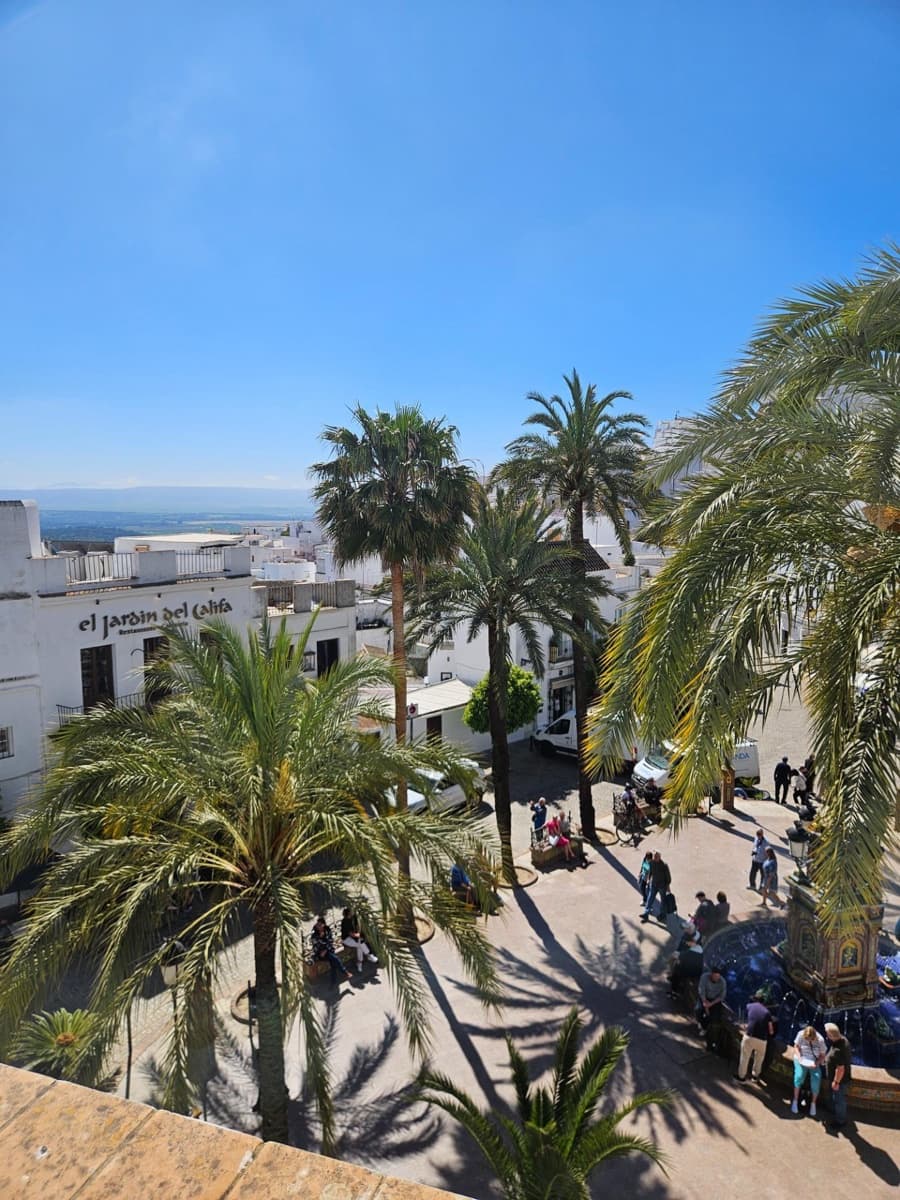 7 bedroom Townhouse for sale in Vejer de la Frontera - € 1,100,000 (Ref: 9797035)